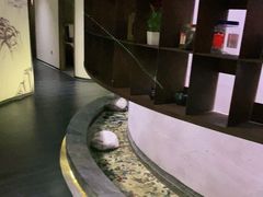 -金水养生(华新店)