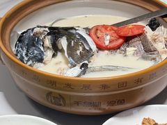 -全乐鱼馆·淳牌有机鱼直营店