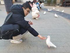-中粮·祥云小镇