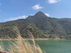 -羚羊峡古栈道森林公园