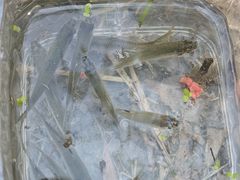 -蓝天路(地铁站)