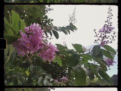 -广州市帽峰山景区