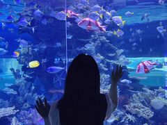 -左海海底世界