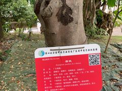 -广东中医药博物馆