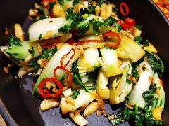 焗锅气奶白菜-小大董·烤鸭(凤凰汇店)