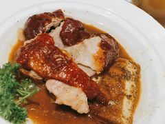 烧鹅-十二粤味·顺德菜·烧鹅点心(五四广场店)