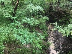-大青沟风景区
