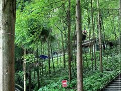 -都江堰普照寺