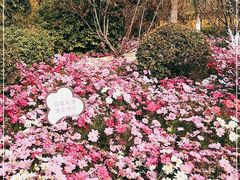 -天津东丽湖风景区