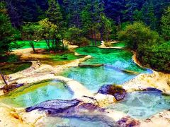 -黄龙山原始森林景区