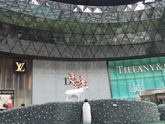 -爱雍·乌节