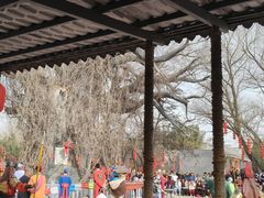 -大槐树寻根祭祖园