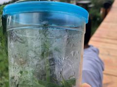 -白草畔自然风景区