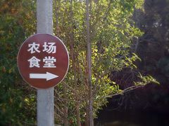 -长兴岛郊野公园农场食堂