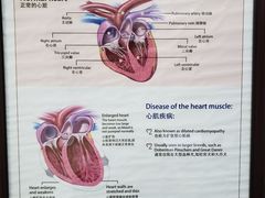 -美联众合动物医院·24h转诊中心