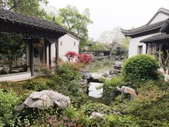 -芥子园