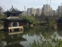-水绘园