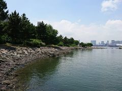 -台场海滨公园船码头