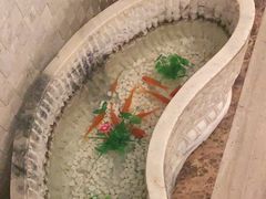 -阿五黄河大鲤鱼(纬三路店)