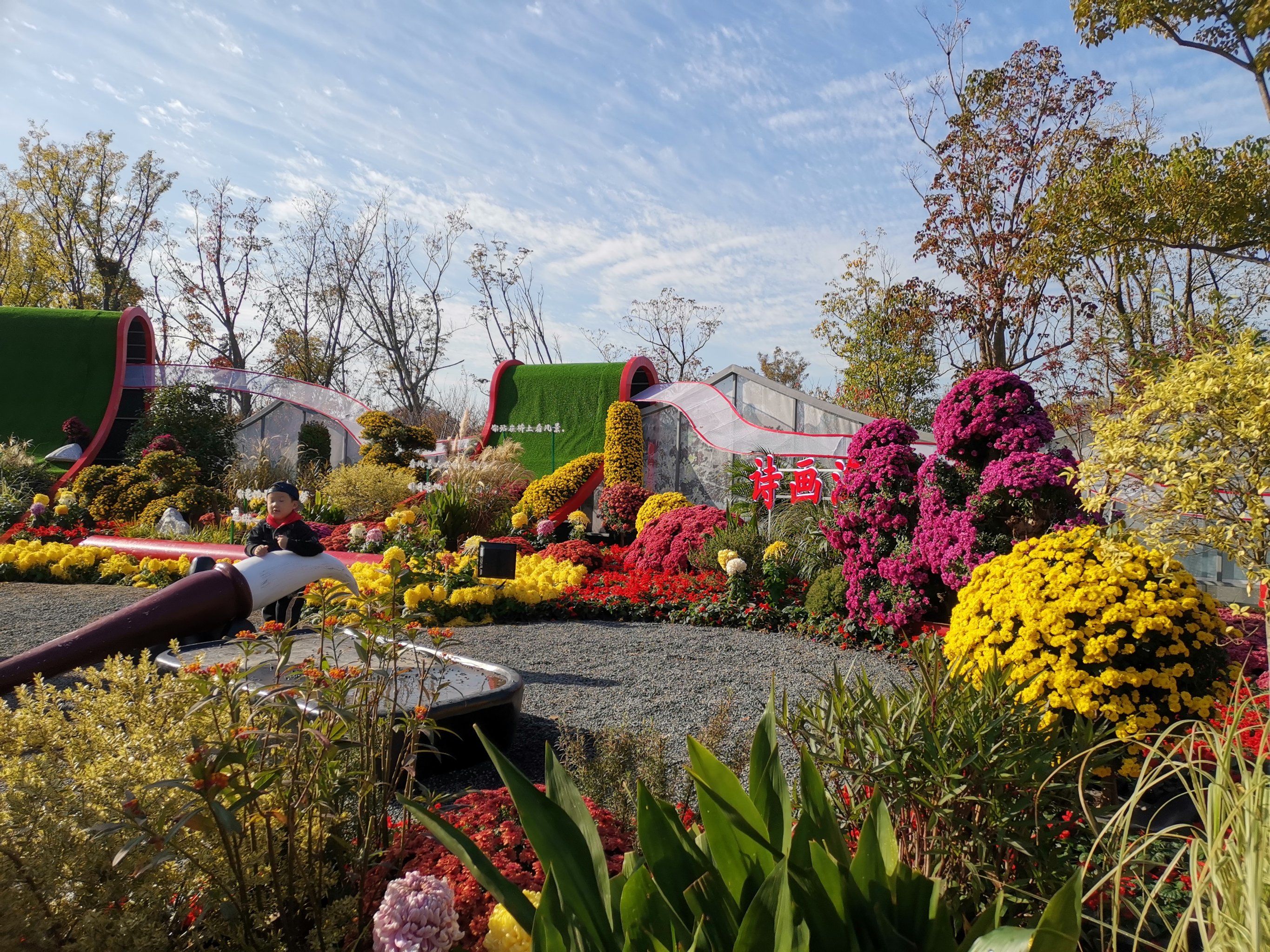 0元玩转这座城#一起来看菊花展唐闸公园