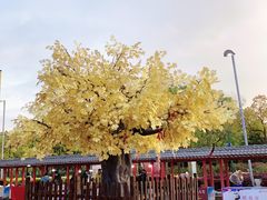 -海底捞火锅(金山百联店)