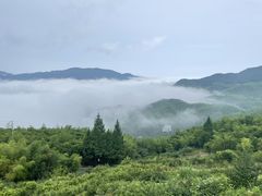 -江南天池