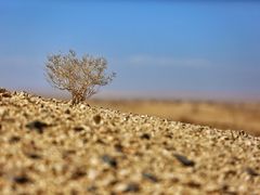 -党河风情线国家水利风景区