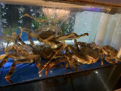-蟹后Crabber(水悦城店)