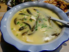 泥鳅炖豆腐-瑶河山里菜