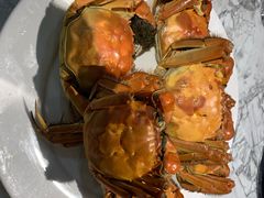 -鑫汇海鲜火锅(蓟州店)