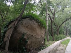 -白水寺森林公园