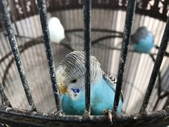 -老味道民宿(栈桥店)