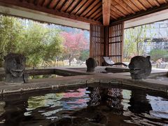 -中家鑫园温泉酒店鑫悦汤泉