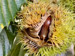 -何适山庄 ·可团建(水长城P2停车场店)