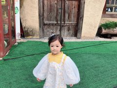 -合肥滨湖国家森林公园