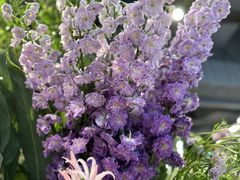 -blt精品超市(KKMALL京基店)