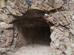 -上海佘山国家森林公园天马山园