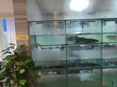 -忘情水鱼头·鲜鱼火锅(滨江中路店)