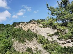 -王顺山国家森林公园