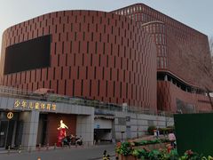 -中国宋庆龄青少年科技文化交流中心