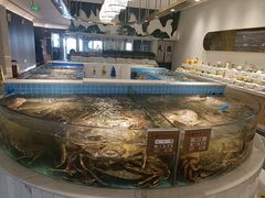 -德天雪花肥牛海鲜火锅(南苑东路店)