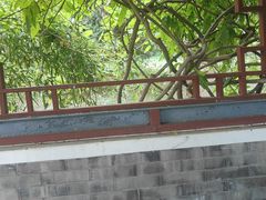 -北坞公园