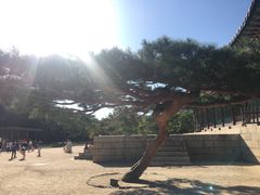 -景福宫