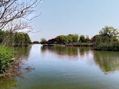 -苏州太湖国家湿地公园