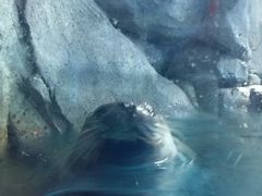 -常州海昌海洋探索馆