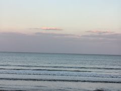 -日照海滨国家森林公园