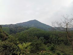 -黄埔油麻山森林公园