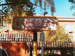 -三里屯东五街银杏大道