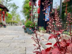 -回龙窝历史文化街区