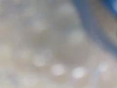 -伦敦塔桥
